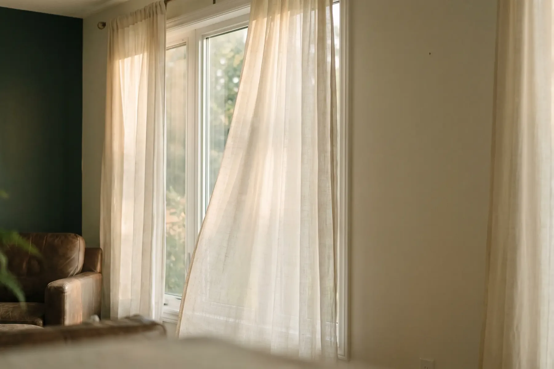 A clean window and the view beyond